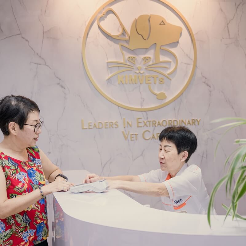 Pet Clinic with Attentive Veterinary Care in Melaka Pet Clinic with Attentive Veterinary Care in Melaka