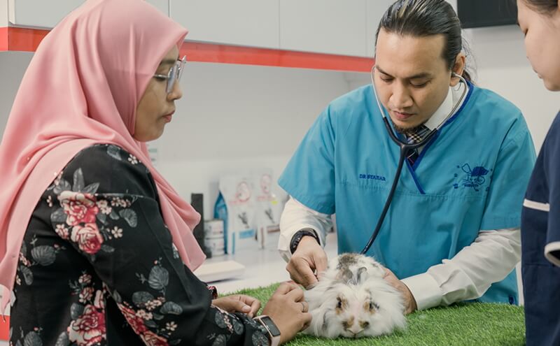 Dr Syahar Treating Exotic Pet