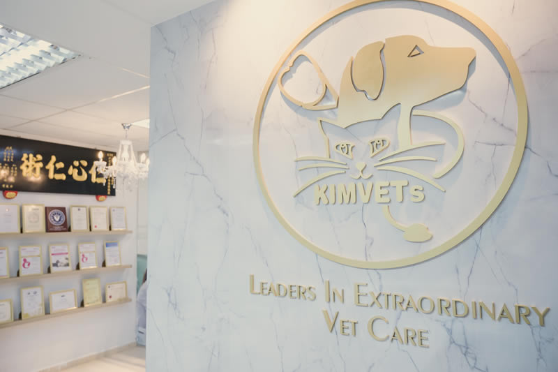 Kimvets Front Desk & Awards Display