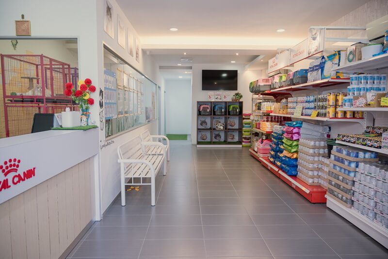 Separated Cat Waiting Room