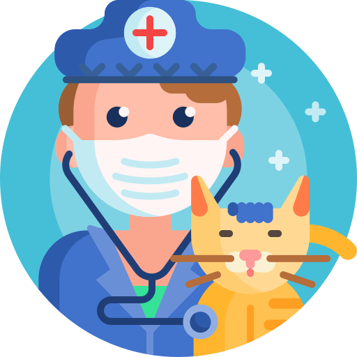 Experienced Vets Experienced Vets