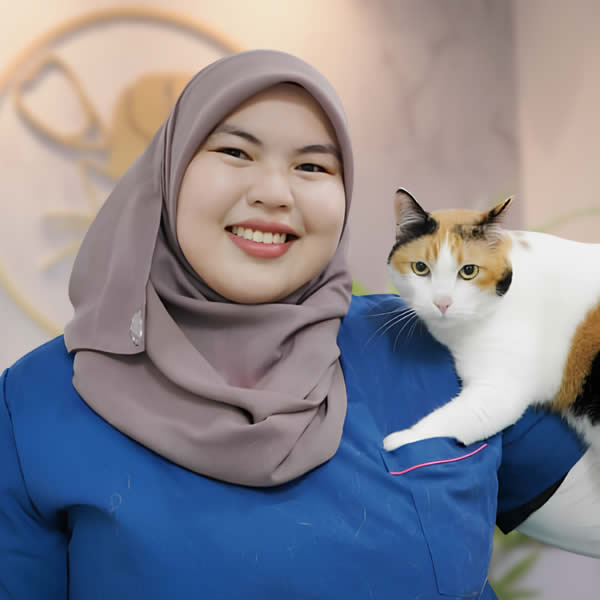Dr. Nurul Iman