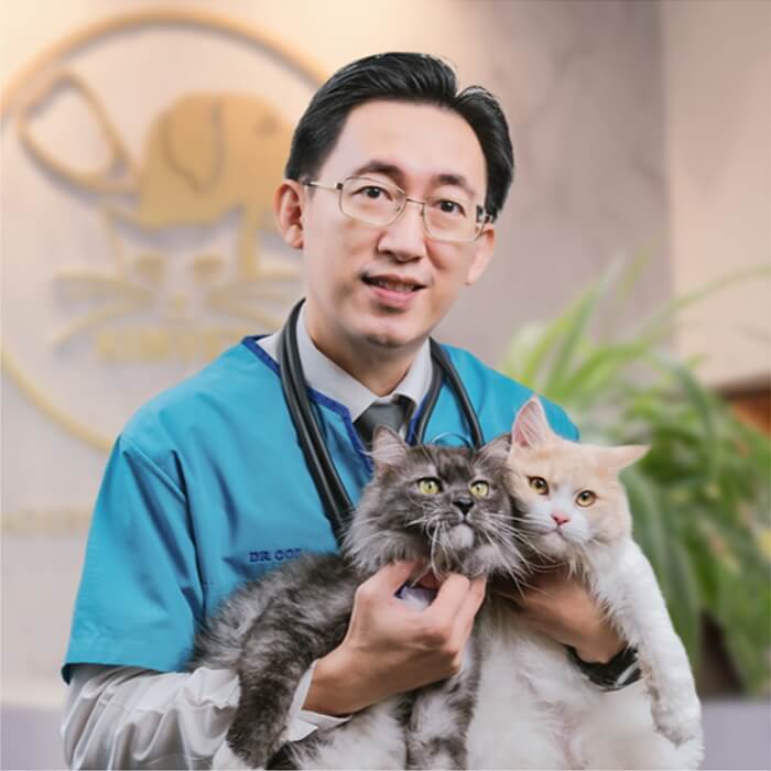 SIR DR. OOI CHEE HONG (KCR)